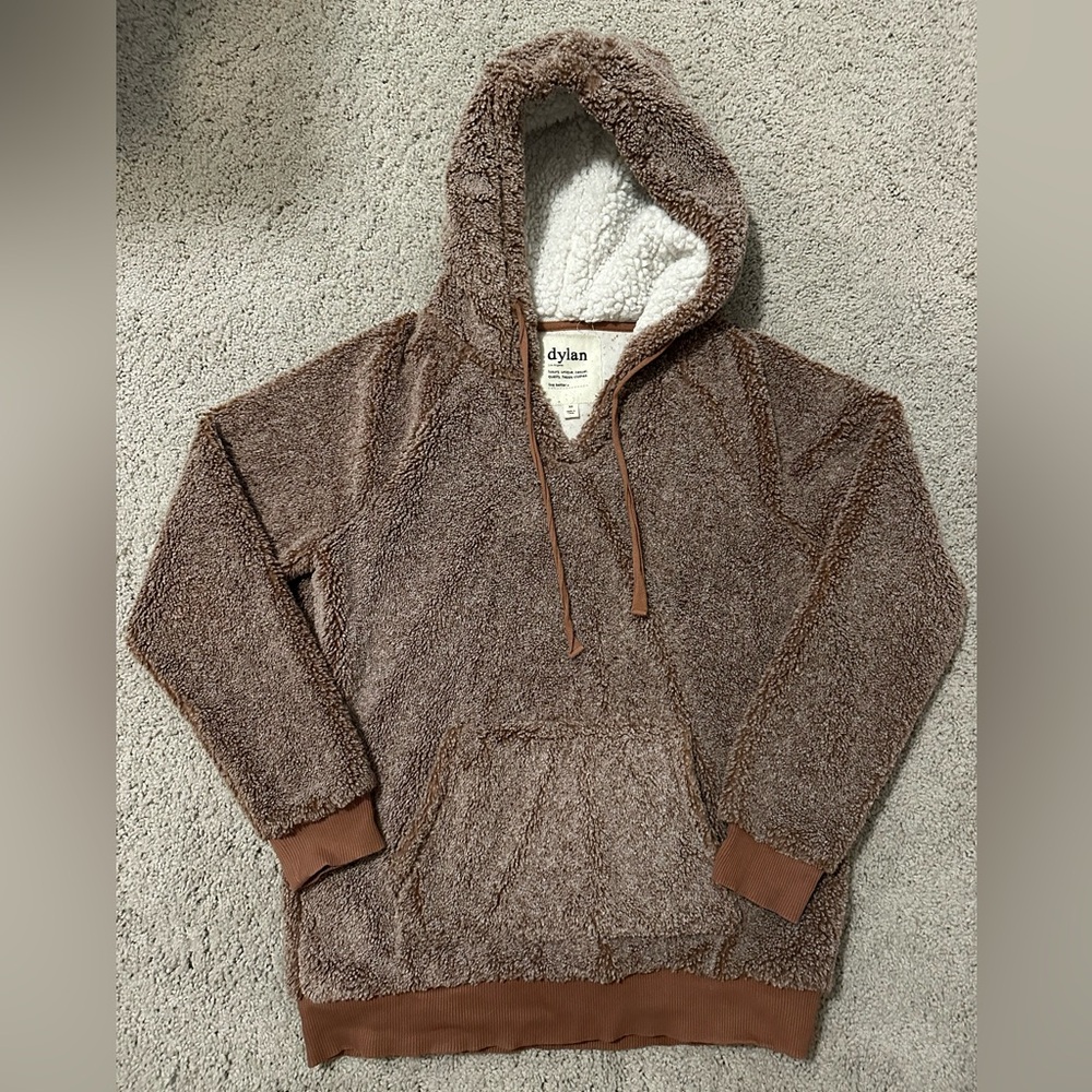 dylan hoodie